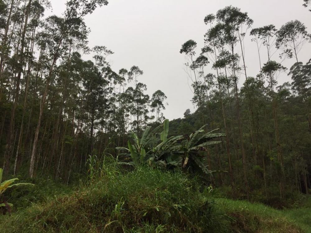 Ótima opção para investimento.